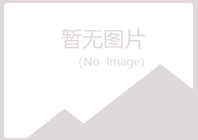 大方县山柏能源有限公司